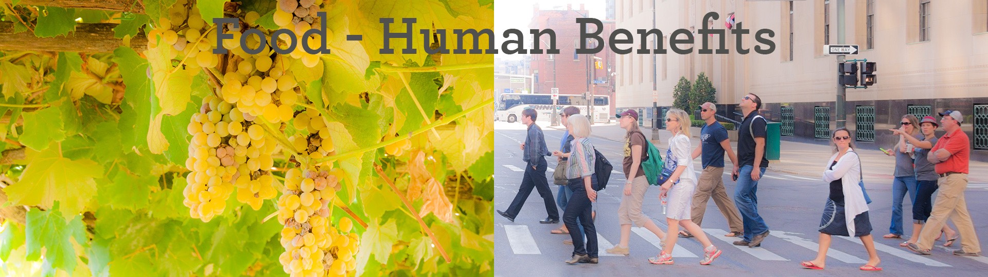 food---human-benefits