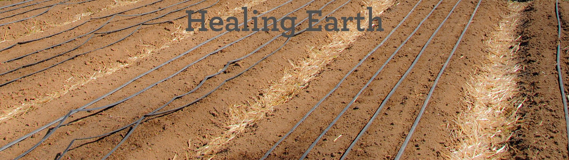 healing-earth