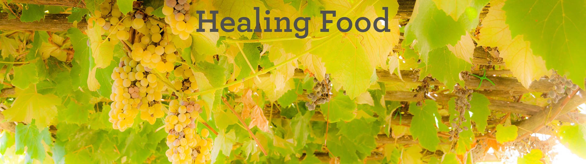 healing-food-new