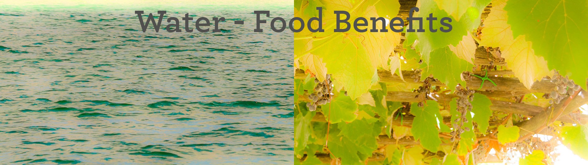 water---food-benefits